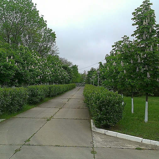 База отдыха