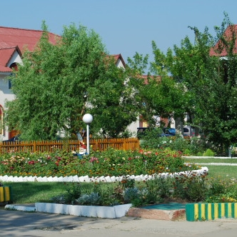 На территории