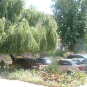 На территории